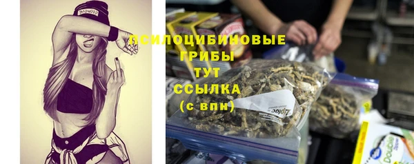 мдма Богородицк