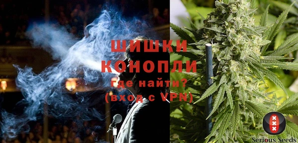 apvp Богородск