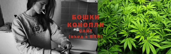 apvp Богородск