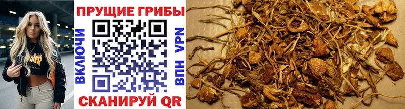 Купить  Алупка  Псилоцибиновые грибы прущие грибы 
